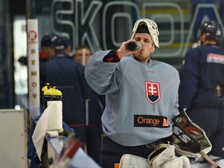 Kto bude brankárskou jednotkou v Rusku? Cíger meno ešte neprezradil