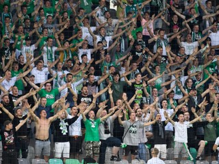 V hľadisku vytvorili Slovinci svojmu tímu skvelú atmosféru.