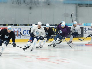 Na hokejistov Nitry čaká druhý rok po sebe účinkovanie v Lige majstrov.