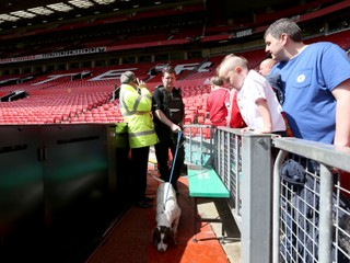 Na snímke policajt so špeciálne vycvičeným psom na vyhľadávanie výbušnín v nedeľu 16. mája 2016. Duel anglickej futbalovej Premier League Manchester United - FC Bournemouth sa z bezpečnostných dôvodov neuskutočnil pre nájdený balíček.