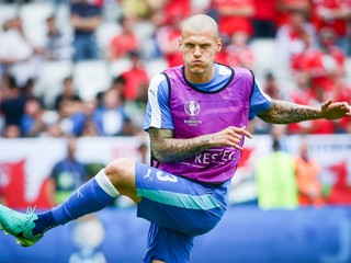 Martin Škrtel.