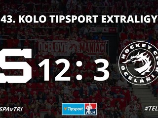 Dostali dvanásť gólov. Hráči Třinca venujú nadácii 800-tisíc českých korún