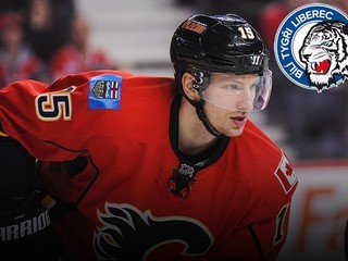Český obranca sa po jedenástich sezónach vracia z NHL, posilní Liberec