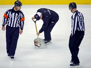 Počas finále NHL hodil na ľad mŕtveho sumca. Fanúšik nedostal žiadny trest