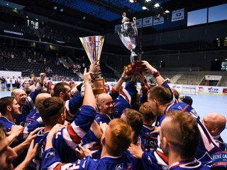 Slovenská zlatá radosť.