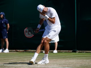 Wimbledonskú trávu v tretí deň zápolení v All England Clube zamorili lietajúce mravce.