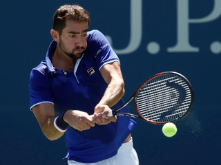 Marin Čilič.