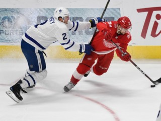 Tomáš Tatar (vpravo) v súboji s Ronom Hainseym.