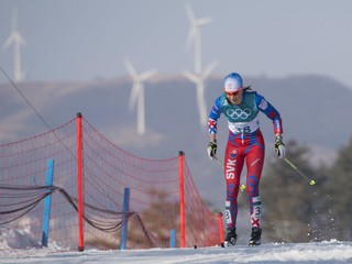 Na snímke slovenská bežkyňa na lyžiach Alena Procházková.