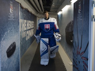 Slovensko má ďalšieho hráča v NHL. Rybár podpísal zmluvu s Detroitom