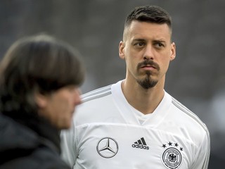 Sandro Wagner.