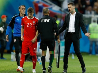 FIFA vyšetruje aj trénera Srbska Mladena Krstajiča (vpravo).