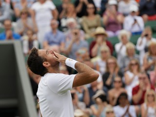 Argentínsky tenista Juan Martin del Potro sa stal posledným štvrťfinalistom vo Wimbledone.