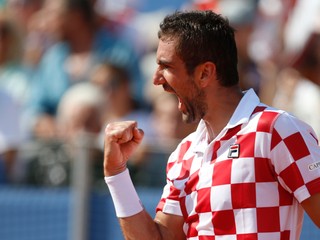Marin Čilič.