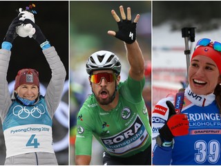 Biatlonistka Anastasia Kuzminová priniesla tri medaily, Peter Sagan vyhral tri etapy na Tour de France a aj zelený dres, Paulína Fialková bola dvakrát druhá v Svetovom pohári.