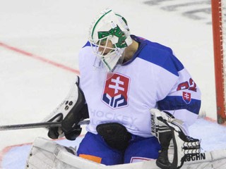 Brankár Andrej Košarišťan v reprezentačnom drese a v maske MHC Nové Zámky.