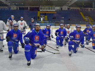 Na snímke tréning slovenskej hokejovej reprezentácie pred prípravným zápasom so Švédskom. V Piešťanoch, 1. apríla 2019.