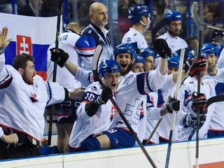 Slovenskí hokejbalisti.