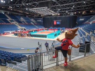 Na snímke oficiálny maskot ME vo volejbale žien ACE počas predstavenia 20. augusta 2019 v Bratislave. Slovenské volejbalistky odohrajú skupinovú fázu ME v Bratislave na zimnom štadióne Ondreja Nepelu.