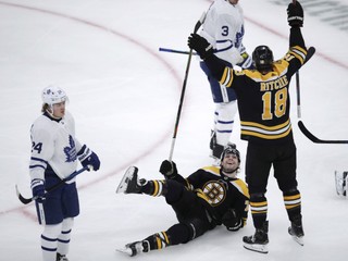 Brett Ritchie (18) oslavuje gól v zápase základnej časti NHL 2019/2020 Boston Bruins - Toronto Maple Leafs.
