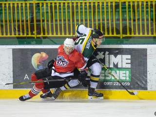 Zahradník kraľuje produktivite Žiliny. (Ilustračné foto)