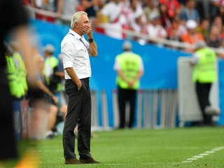 Bert van Marwijk