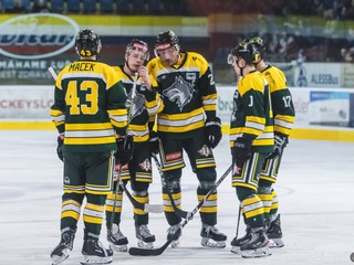 Žilinskí hokejisti majú v tohtoročnom play-off kusisko športovej smoly.