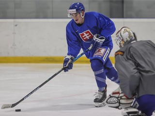 Slovenská reprezentácia do 20 rokov na tréningu vo Zvolene.