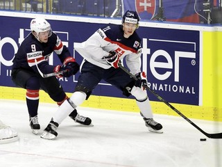 Ďaloga (vpravo) pútal pozornosť viacerých zahraničných záujemcov.