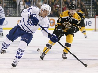 Richard Pánik zostáva aj naďalej v organizácii Maple Leafs.