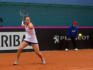 Maximom Jany Čepelovej z antuky na Roland Garros je druhé kolo z predvlaňajška.