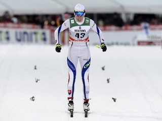 V tejto sezóne skončila Procházková najvyššie na 29. mieste. Na MS sa dostala až do semifinále.