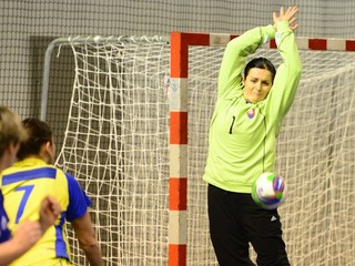 Na snímke v bránke Slovenska chytá Simona Sulovská.