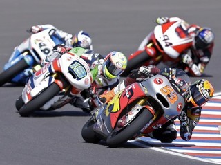 Španiel Esteve Rabat.