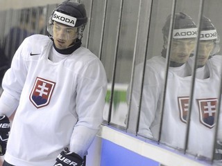 Stretnutie s Vůjtkom dalo nádej, Šatan možno pôjde na MS