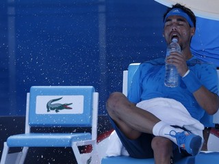 Djokovič a Ferrer postúpili, uspeli aj slovenskí juniori