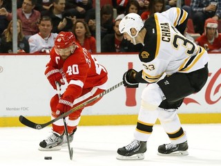 Henrik Zetterberg v súboji so Zdenom Chárom.