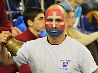 Fanúšikovia veľa radosti z výkonu slovenských volejbalistov nemali.