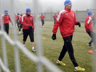 Plzn začala prípravu pred jarnou časťou doma.