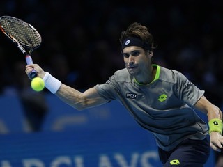 David Ferrer.