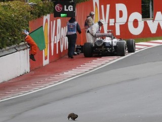 Pastor Maldonado z Venezuely.