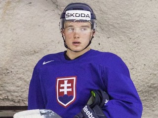 Kým Marko Daňo čakal na príležitosť od trénera Vůjtka, každé ráno kontroloval výsledky NHL.