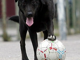 FIFA uvalila ročné prestupové embargo na FC Nantes