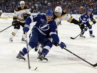 Hokejista Tampy Bay Lightning Slovák Richard Pánik a hráč Bostonu Bruins Dennis Seidenberg bojujú o puk v zápase Tampa Bay Lightning - Boston Bruins.