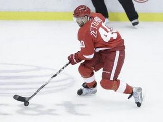 Hokejista Henrik Zetterberg.