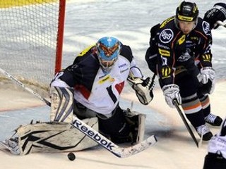 Medvedev potvrdil účasť Slovana a Lev Praha v KHL