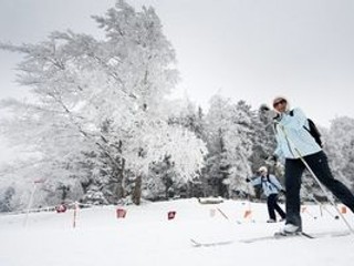 Švédi neodcestujú do Rybinska, boja sa mrazov