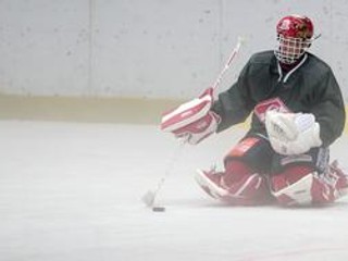 Dominik Hašek