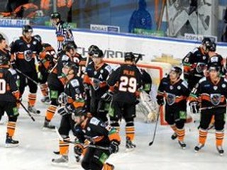 Lev chcú z Popradu presťahovať do Prahy