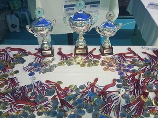 Zápolilo sa o tieto trofeje.